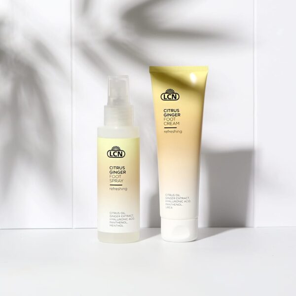 Citrus Ginger Set