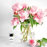 4 way hyaluronic serum