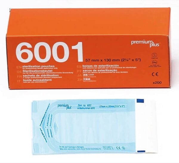 151494